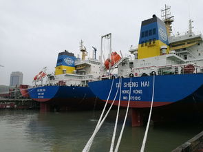 同日双轮齐命名 中远海运散运3.88万吨散货船“安定海”与“德胜海”正式交付，货船运输再添新动力